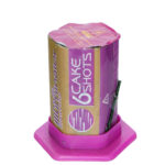 چلچله 6 شوت کارتن 10 عددی برند نارگستر